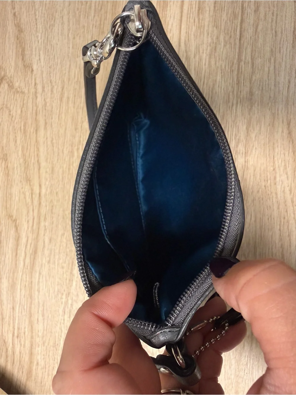 Coach wristlet shimmering